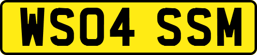 WS04SSM