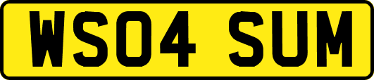 WS04SUM