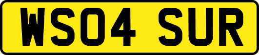 WS04SUR