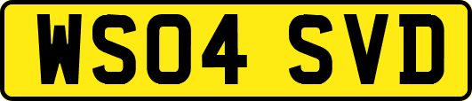 WS04SVD