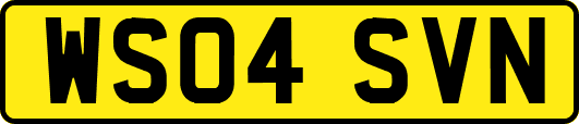 WS04SVN