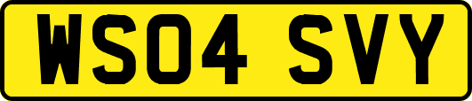 WS04SVY