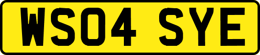 WS04SYE