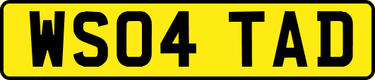 WS04TAD