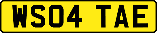 WS04TAE