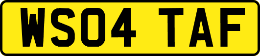 WS04TAF