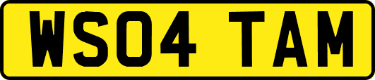 WS04TAM