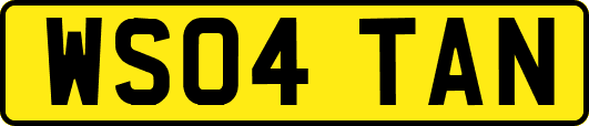 WS04TAN