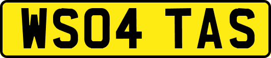 WS04TAS