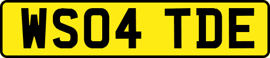 WS04TDE