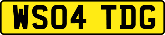 WS04TDG