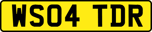 WS04TDR