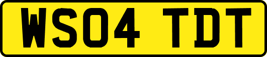 WS04TDT