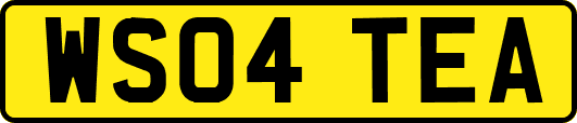 WS04TEA
