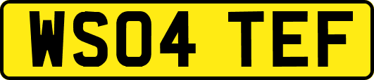 WS04TEF