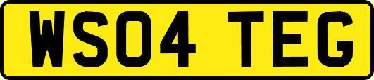 WS04TEG