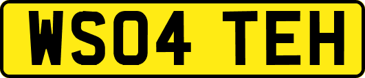 WS04TEH