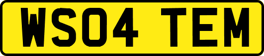 WS04TEM