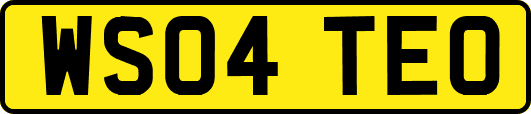 WS04TEO