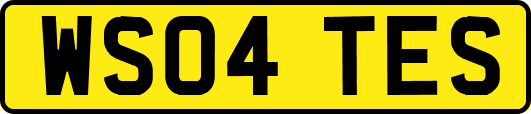 WS04TES
