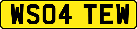 WS04TEW