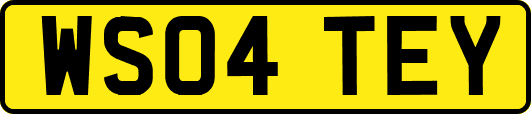 WS04TEY
