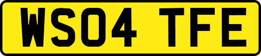 WS04TFE