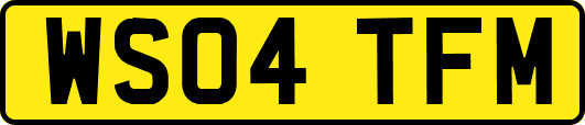 WS04TFM