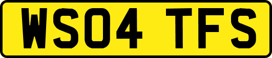 WS04TFS