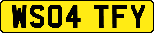 WS04TFY