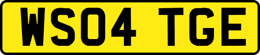 WS04TGE
