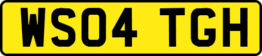 WS04TGH