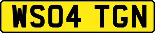 WS04TGN