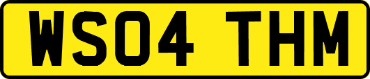 WS04THM
