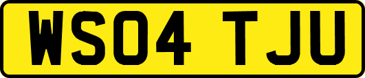 WS04TJU