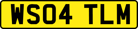 WS04TLM