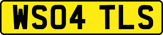 WS04TLS