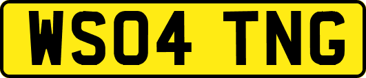 WS04TNG