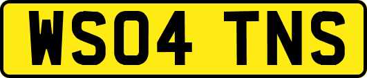 WS04TNS