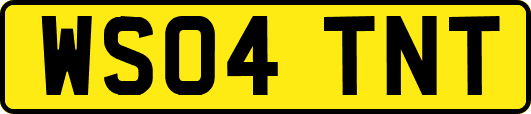 WS04TNT