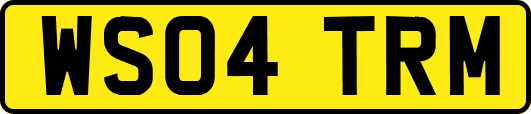 WS04TRM