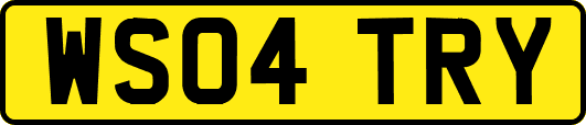WS04TRY