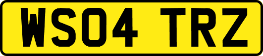 WS04TRZ