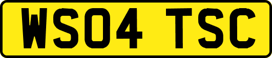 WS04TSC
