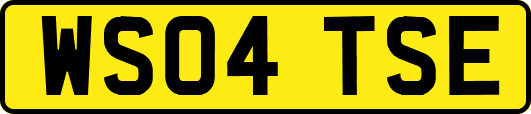 WS04TSE
