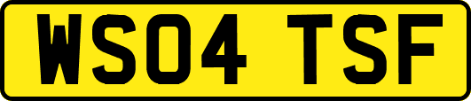 WS04TSF