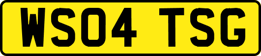 WS04TSG