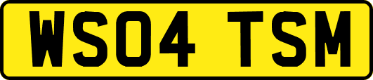 WS04TSM
