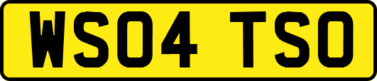 WS04TSO