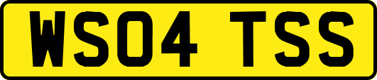 WS04TSS
